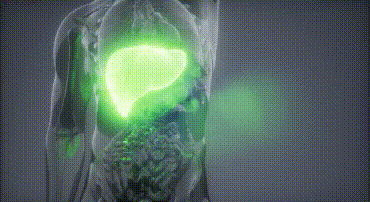 1702215773755011.gif